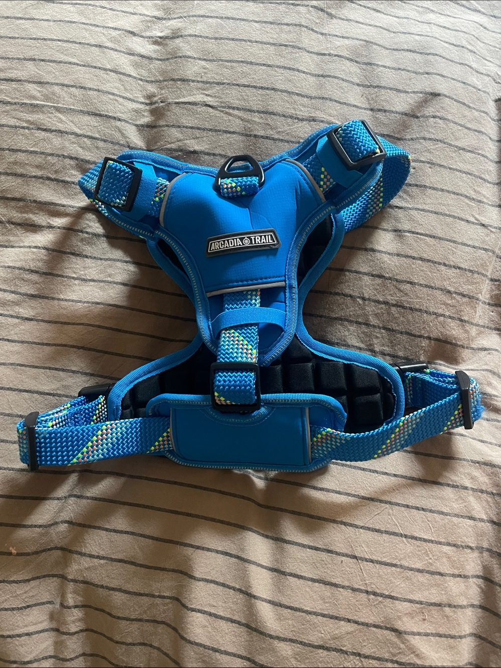 Arcadia Trail Blue Padded No-Pull Dog Harness